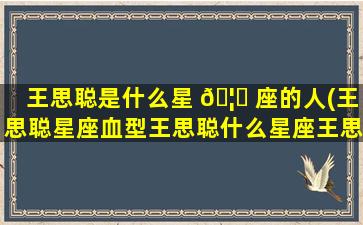 王思聪是什么星 🦆 座的人(王思聪星座血型王思聪什么星座王思聪个人资料)